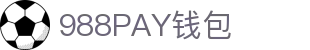 988PAY钱包 - 安全支付工具